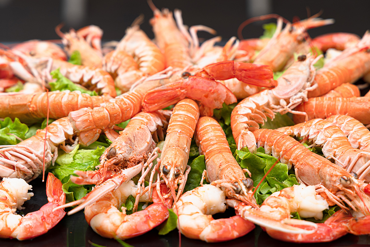 Hotel Caribia Pianrella di Cervia